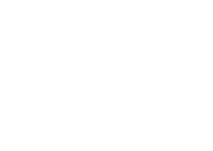 nordic wing