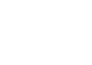 weibel hca